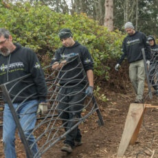 AE - Treehouse Masters 2018